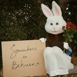 Cover of Somewhere In Between