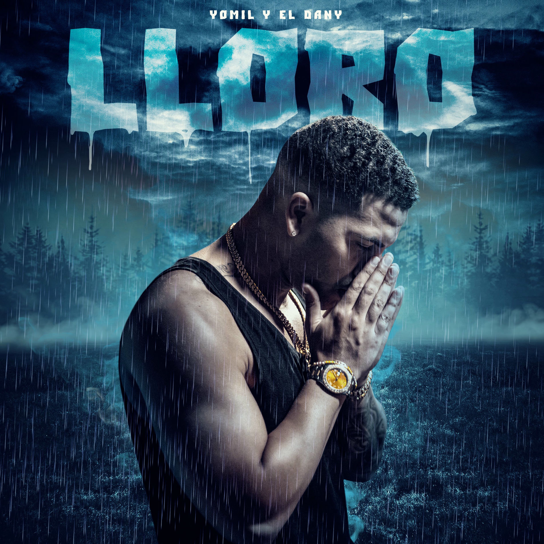 Album cover of Lloro