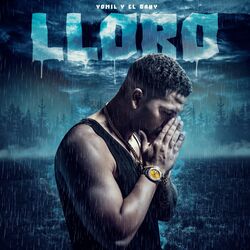 Cover of Lloro