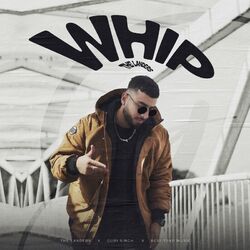 Cover of Whip