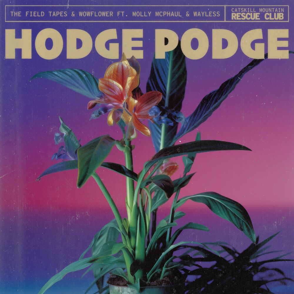 Picture of Hodge Podge