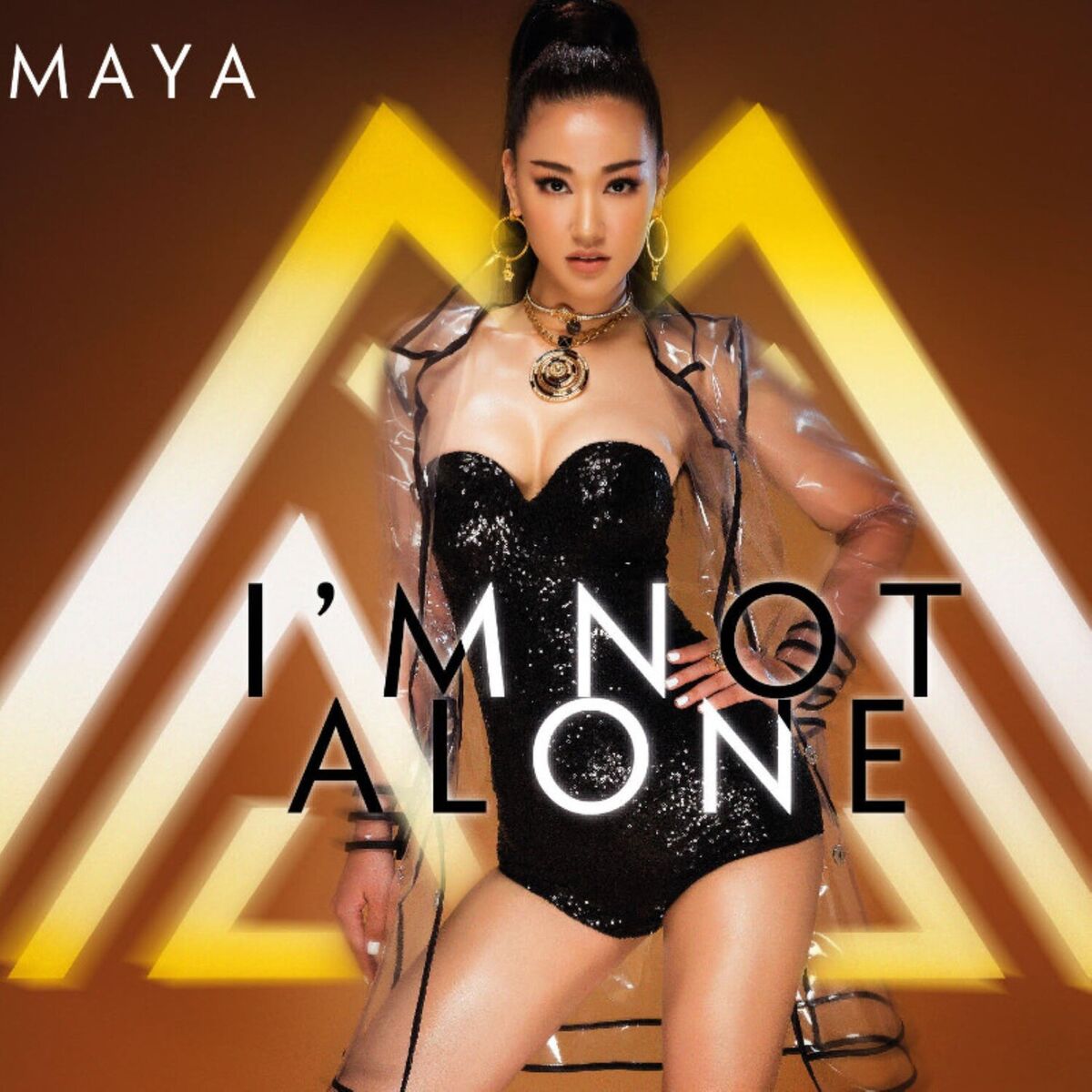 Album cover of I'm Not Alone