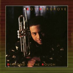 Cover of Diamond In The Rough