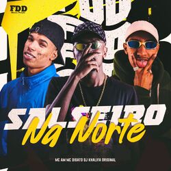 Cover of Salseiro na Norte