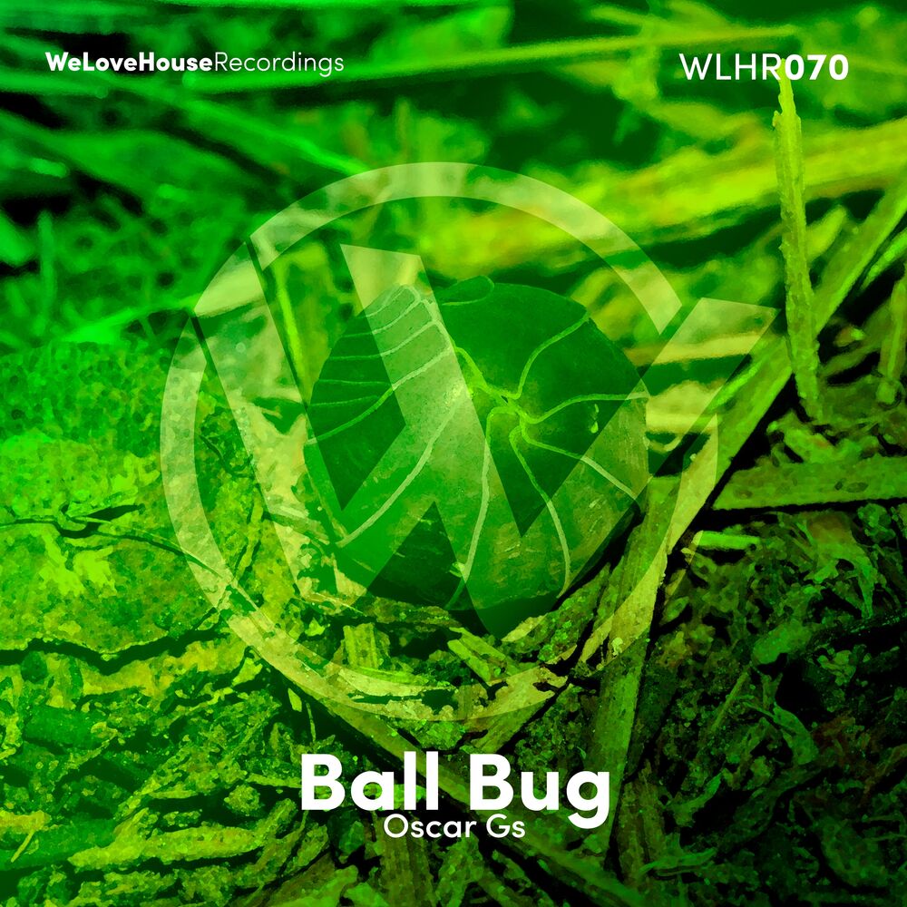 Picture of Ball Bug