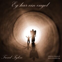 Cover of Eg har ein engel