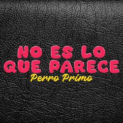 Cover of NO ES LO QUE PARECE