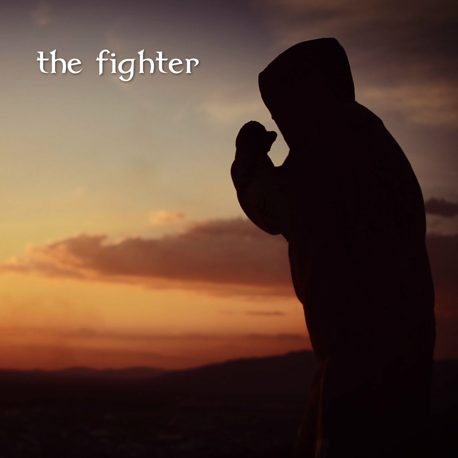 Album cover of The Fighter