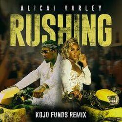 Cover of Rushing (Kojo Funds Remix)