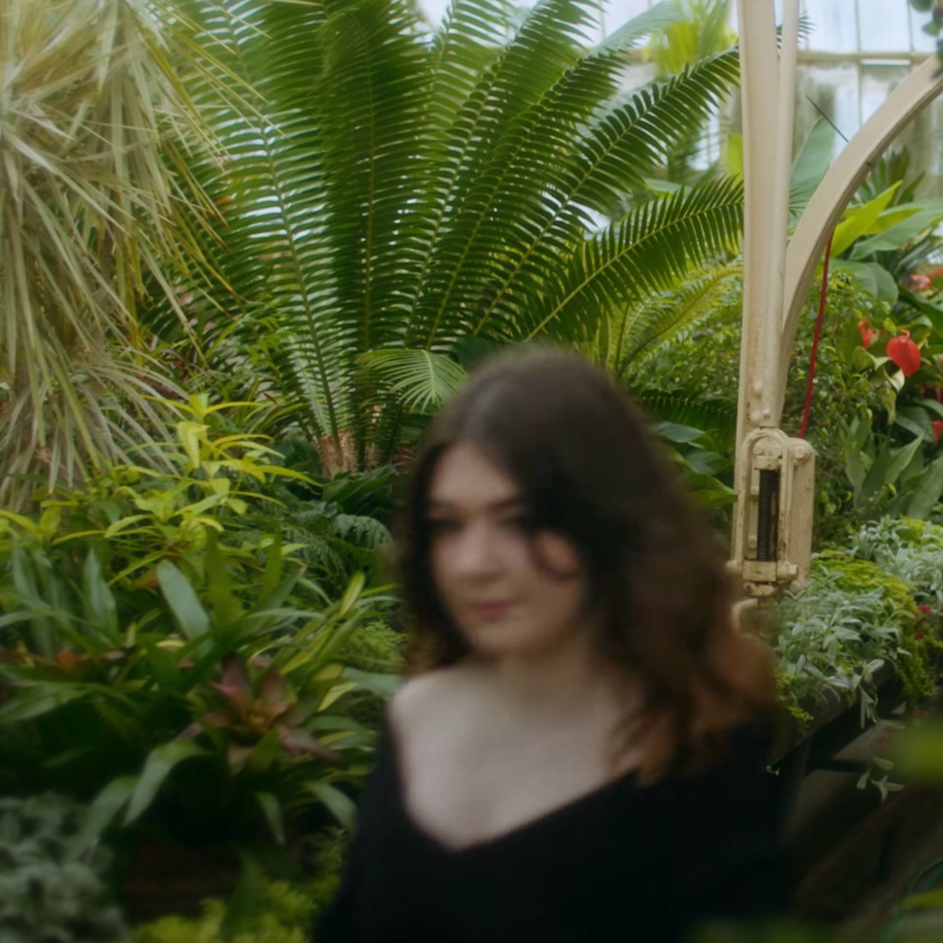 Album cover of Looking Over Shoulders