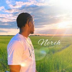 Cover of C’est dingue