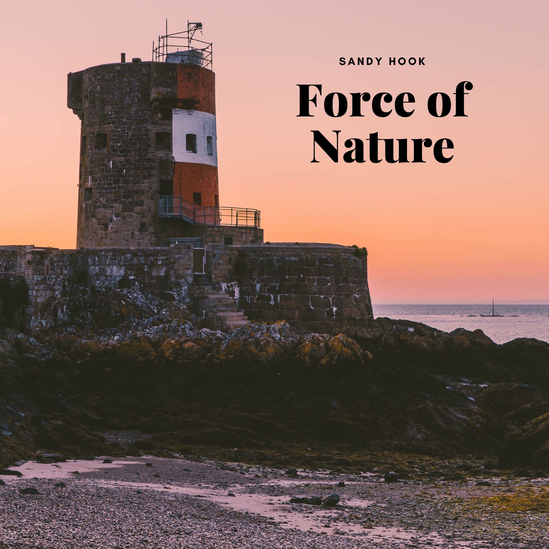 Album cover of Sandy Hook