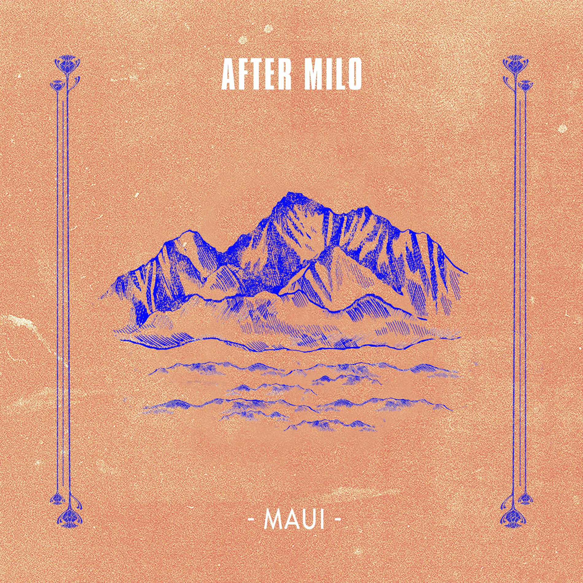 Album cover of Maui