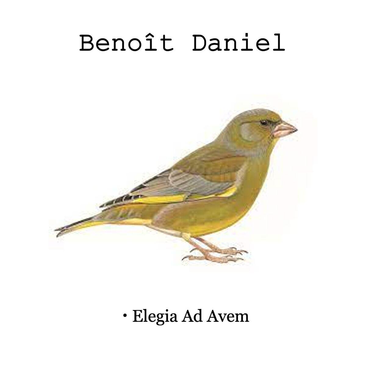 Album cover of Abies religiosa