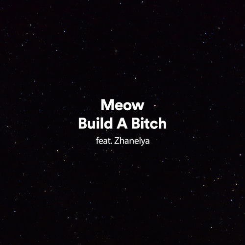 Build a Bitch (feat. Zhanelya)
