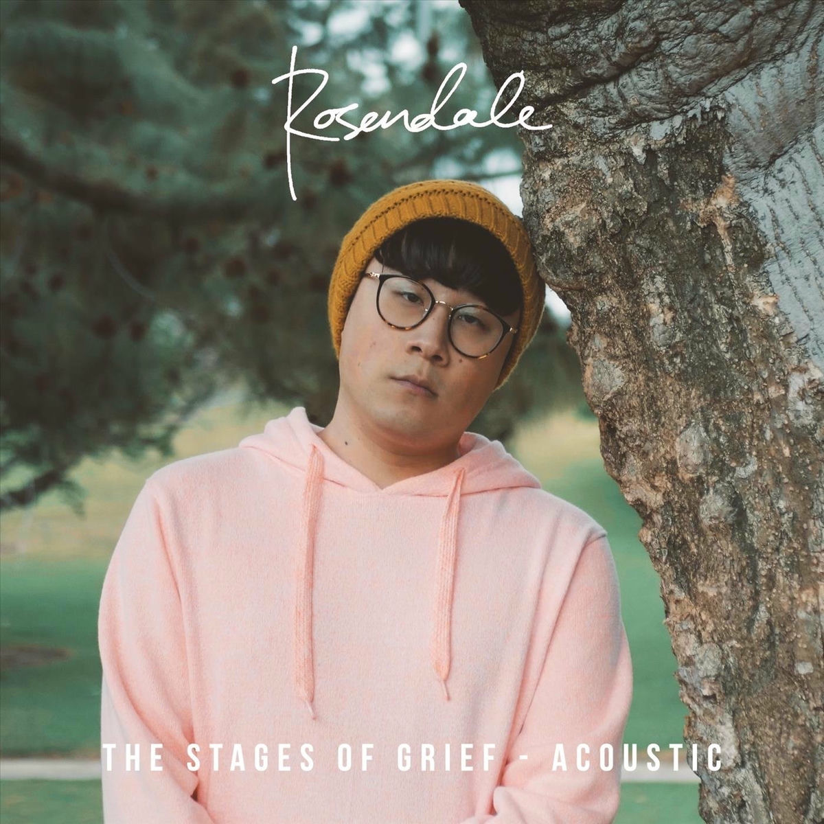 Album cover of The Stages of Grief (Acoustic)