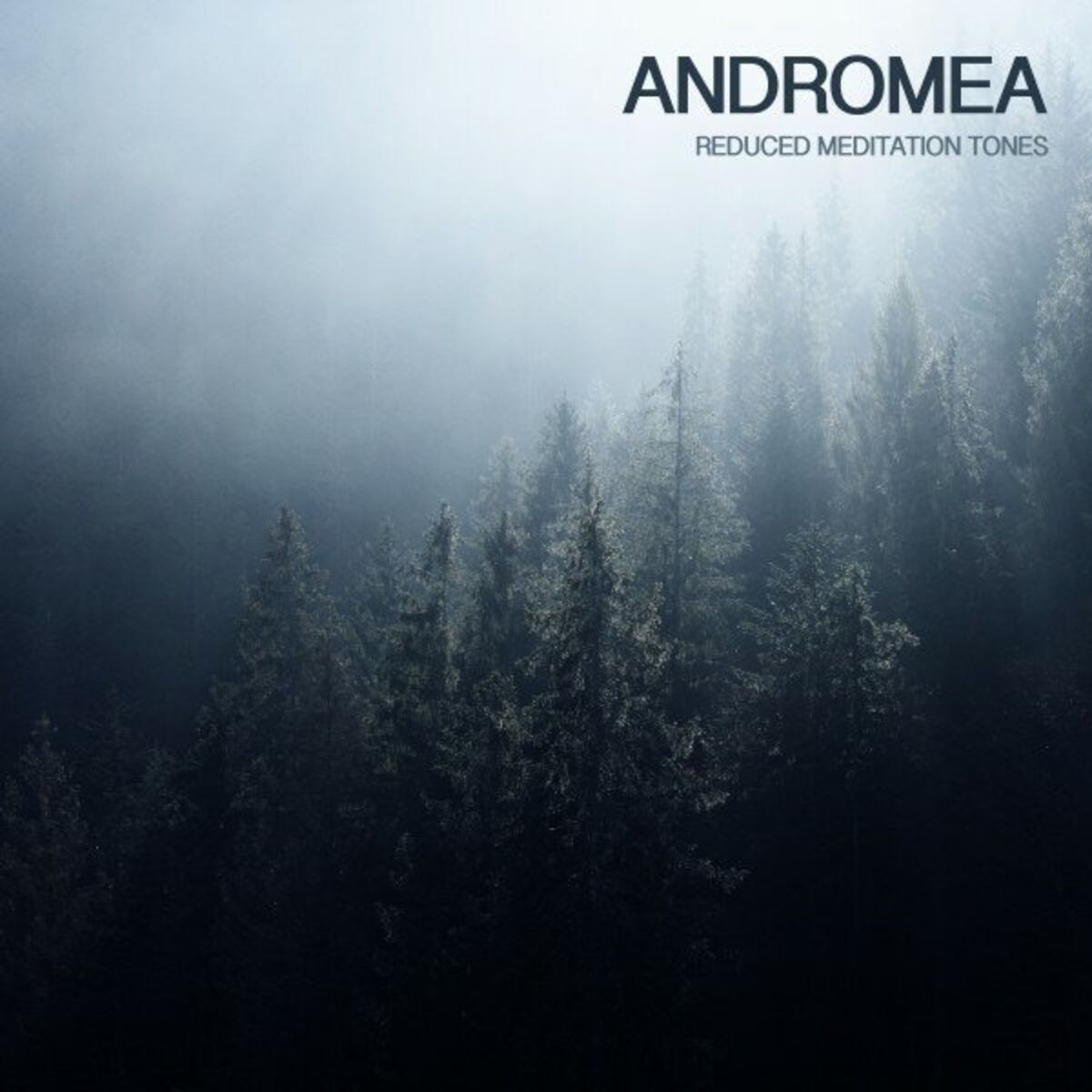 Album cover of Reduced Meditation Tones