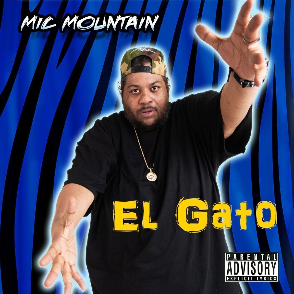 Album cover of El Gato
