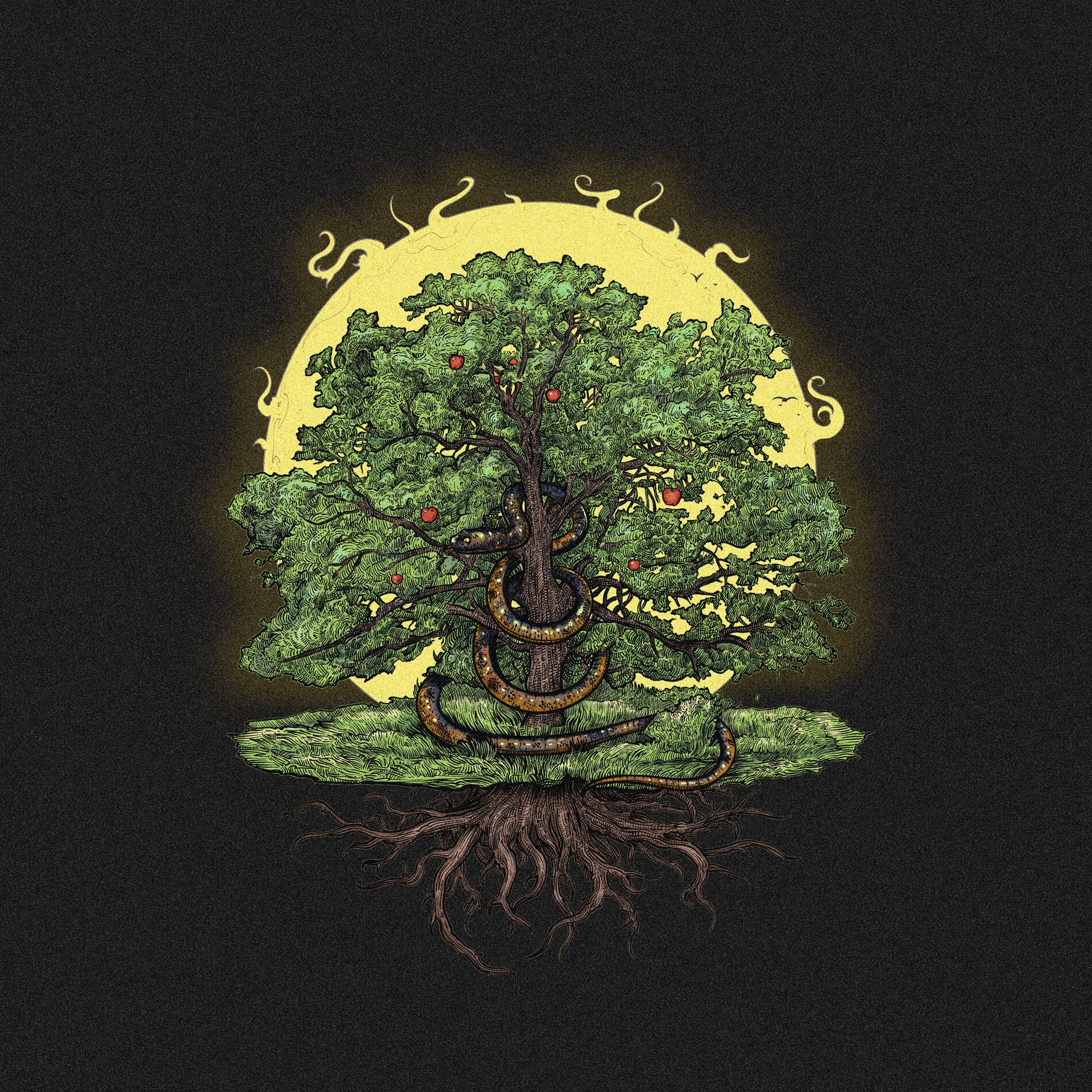 Album cover of SOS