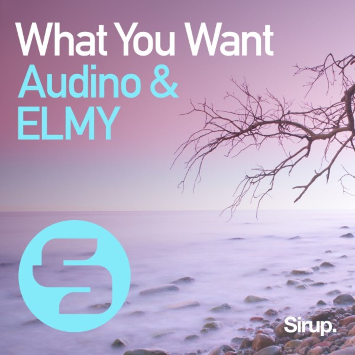 Album cover of What You Want