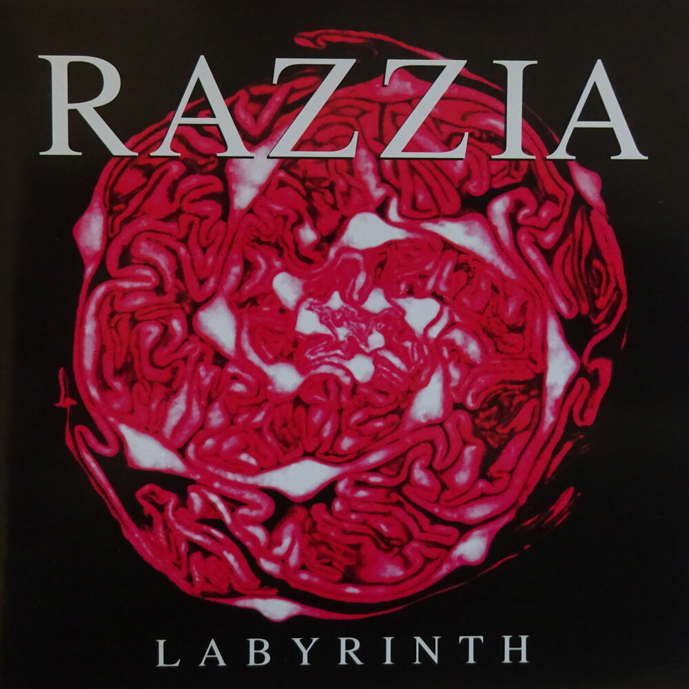 Picture of Labyrinth