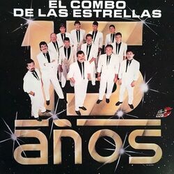 Cover of 15 Años