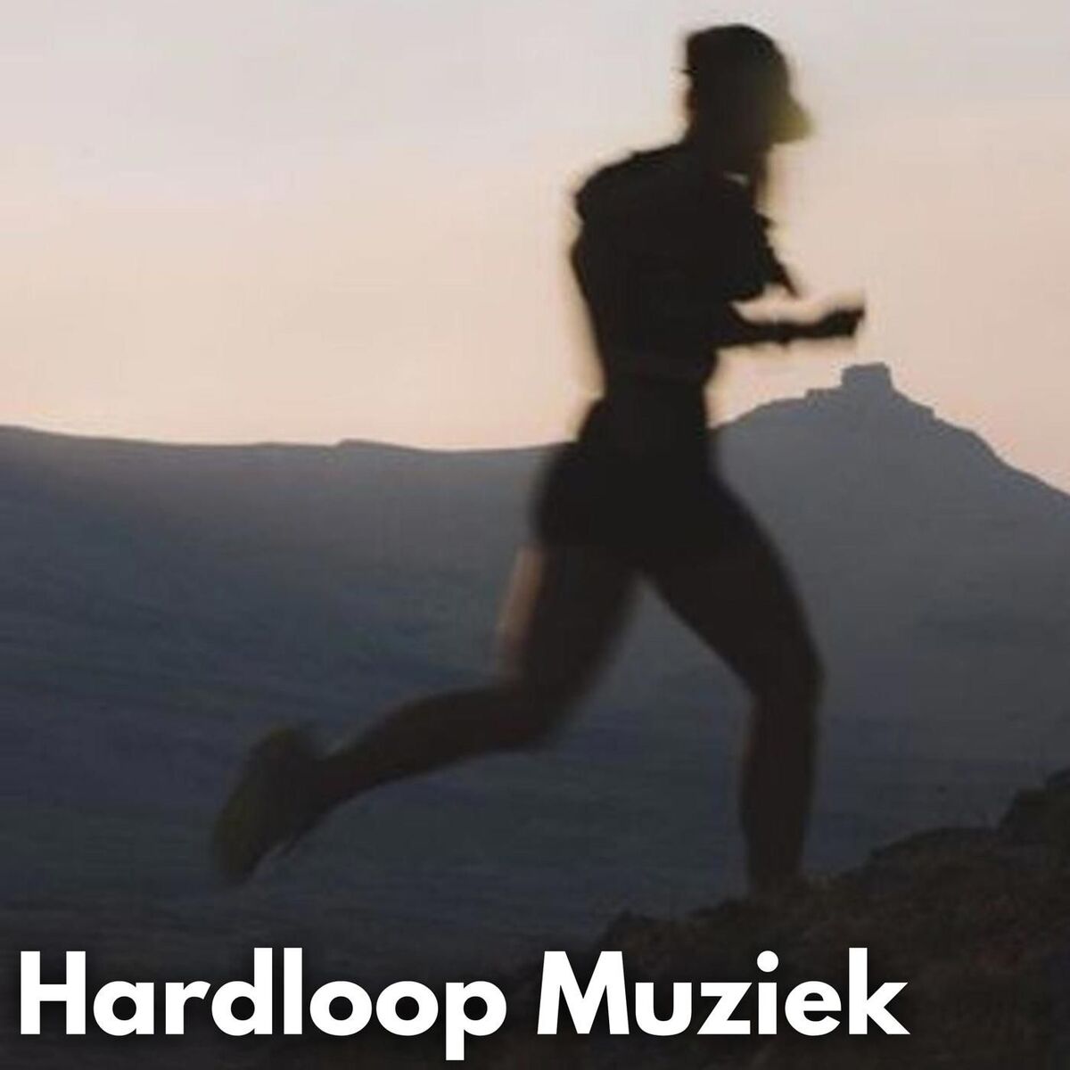 Album cover of Hardloop Muziek