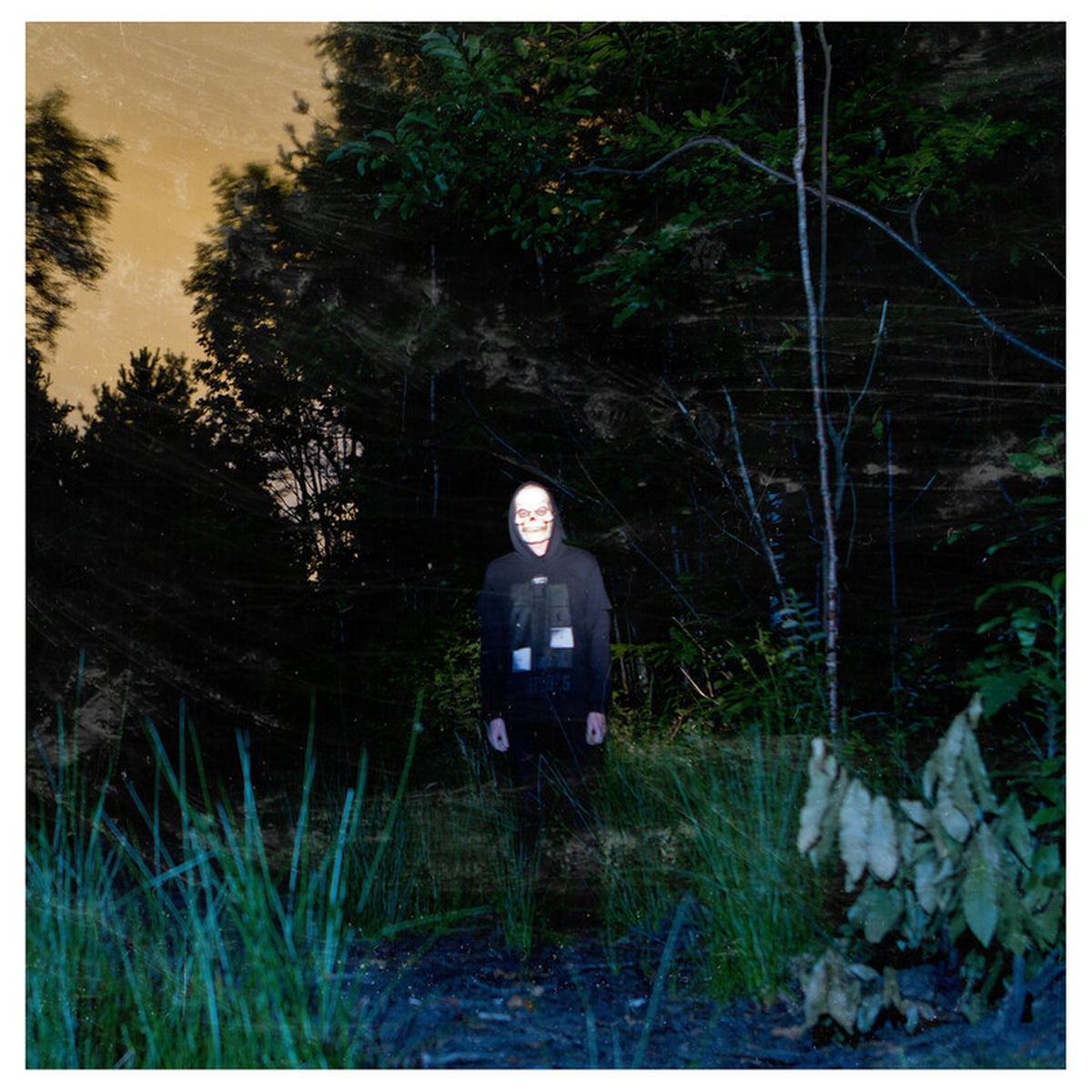 Album cover of Split