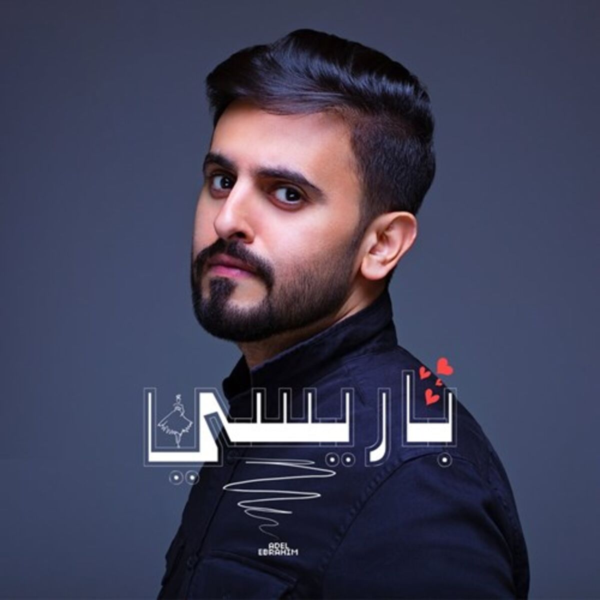 Album cover of Parisy