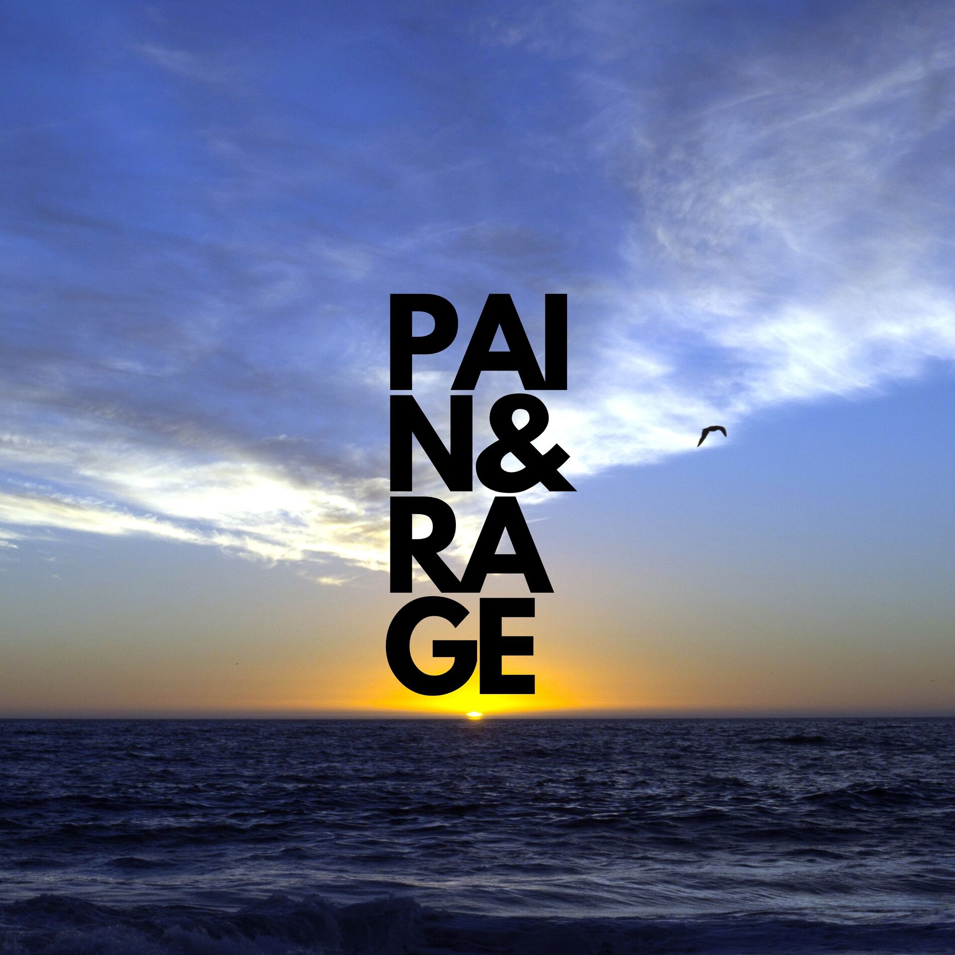 Album cover of Pain and Rage
