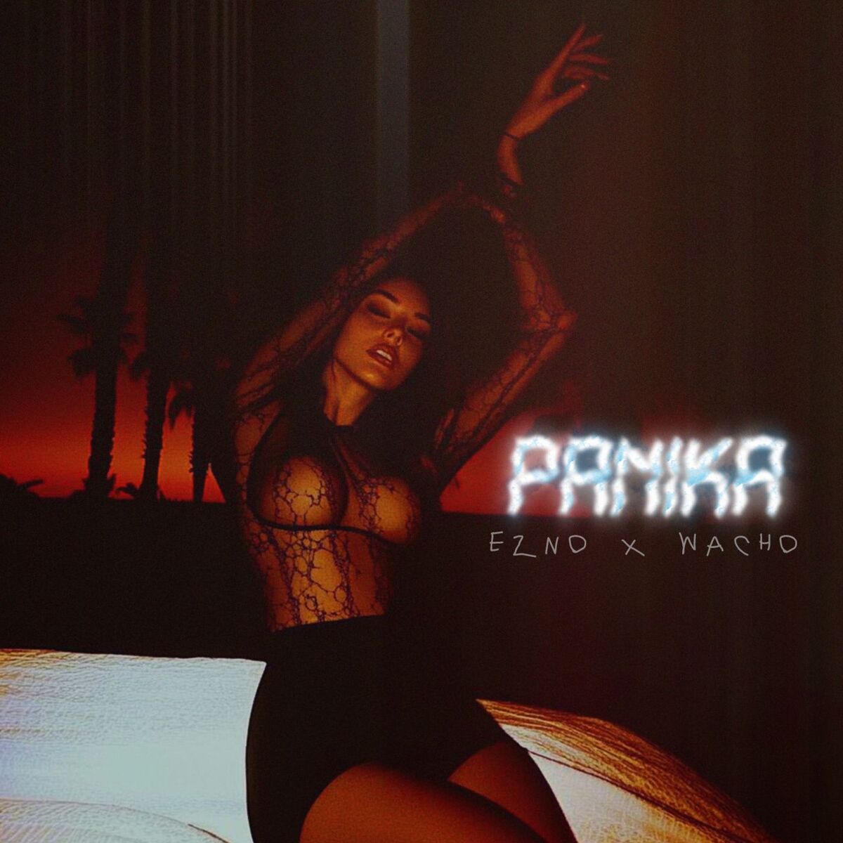 Album cover of Panika