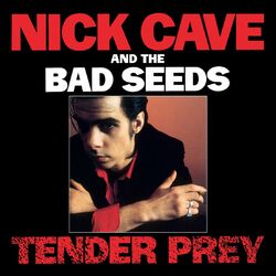 Cover of Tender Prey (2010 Remastered Version)