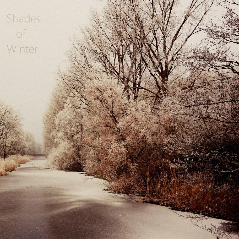 Picture of Shades of Winter