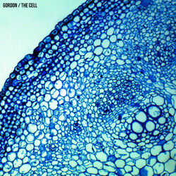 Cover of The Cell