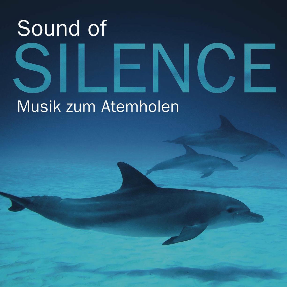 Album cover of Sound of Silence