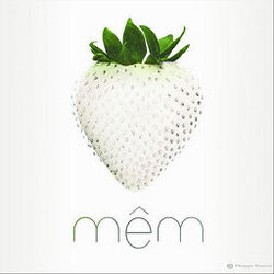 Cover of MÊM