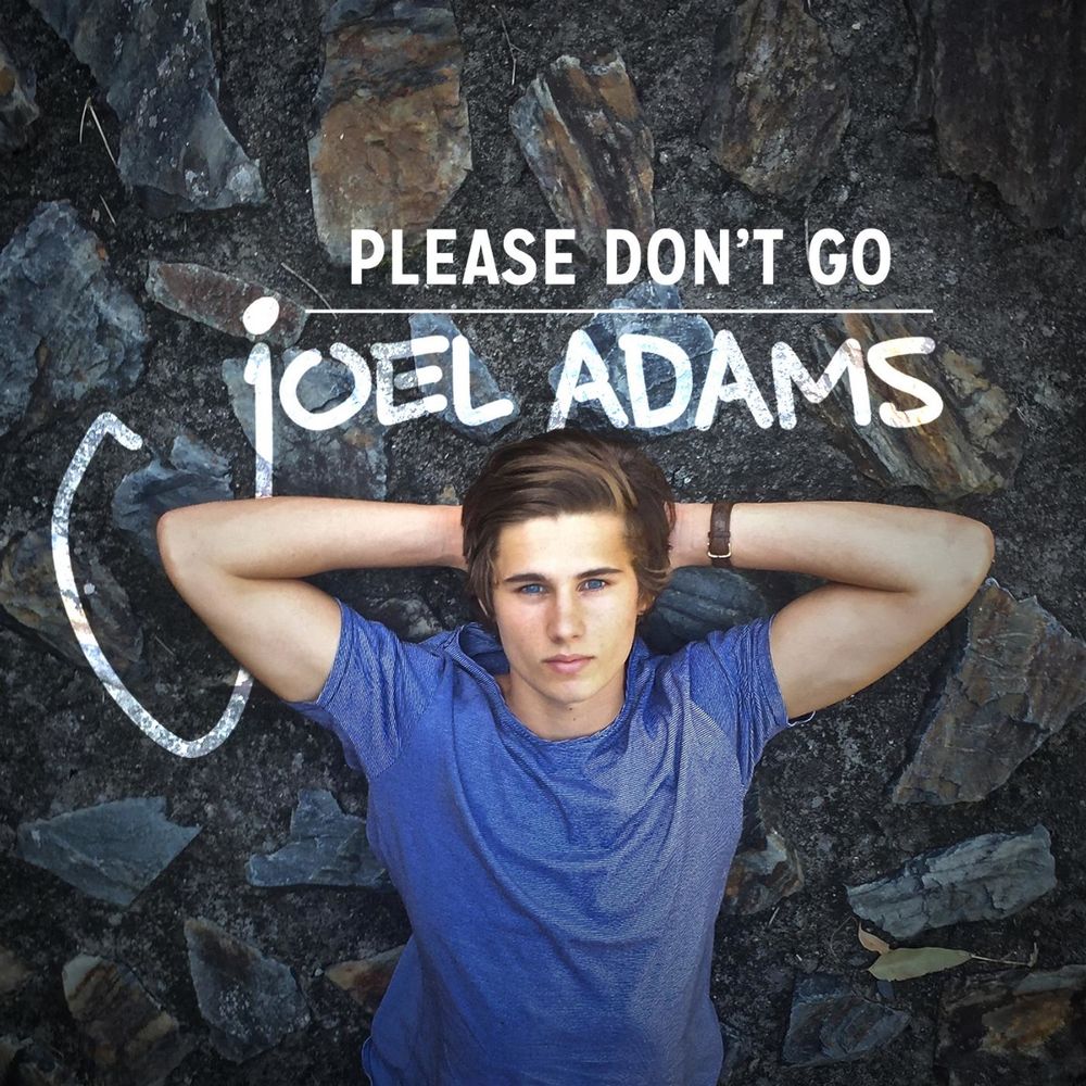 Picture of Please Don't Go