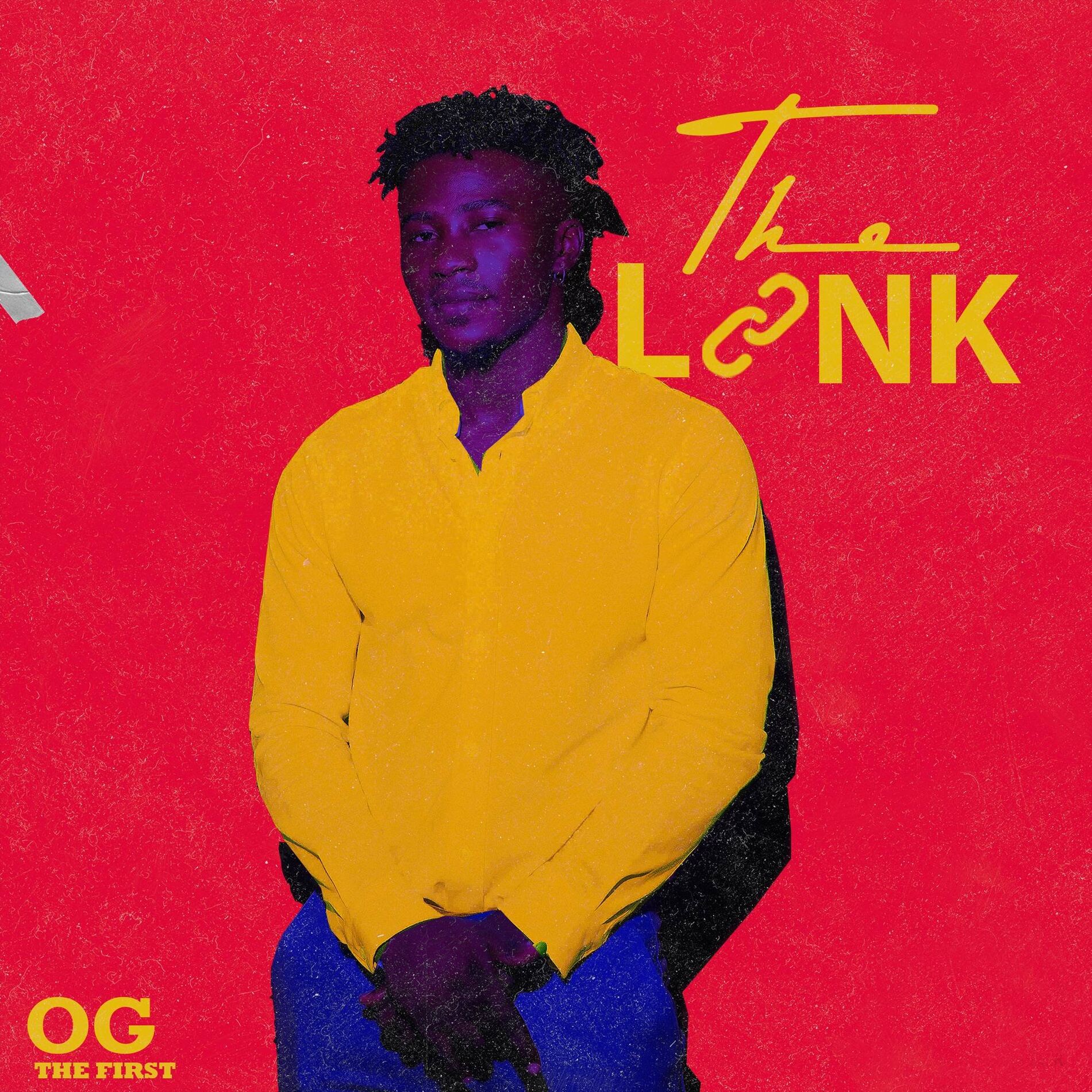 Album cover of The Link