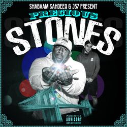 Cover of Precious Stones