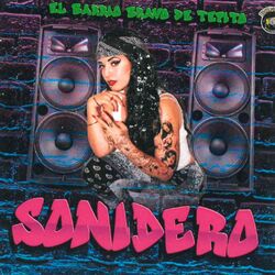 Cover of El Barrio Bravo de Tepito