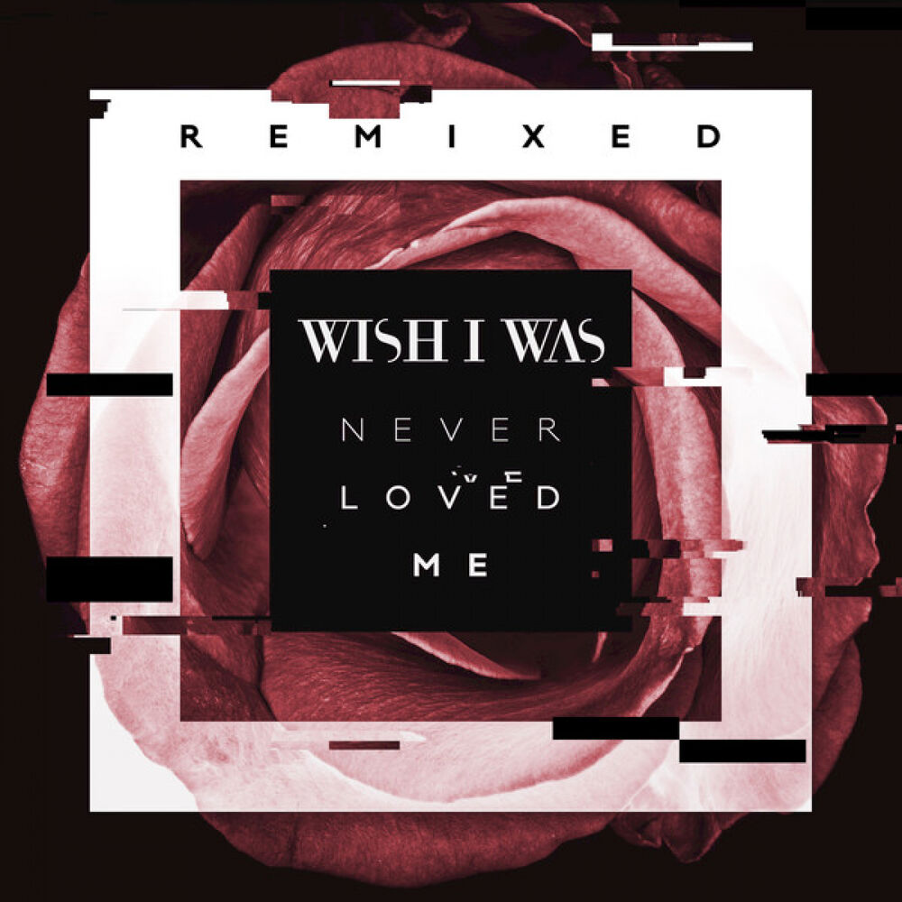 Picture of Never Loved Me (Remix)