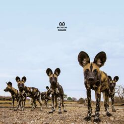 Cover of Changes (Yuksek Remix)