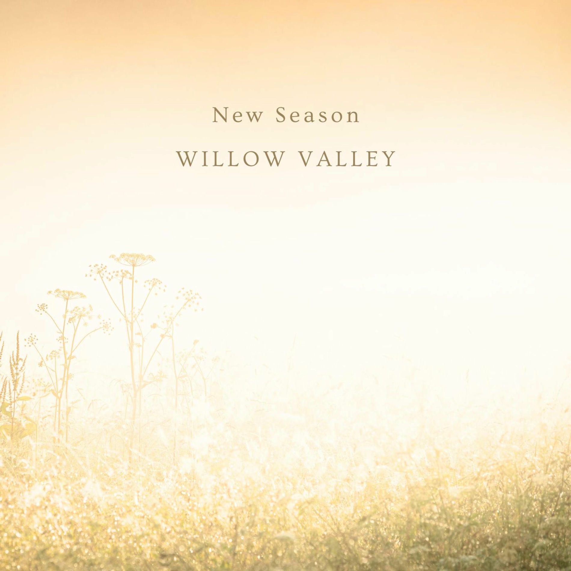 Album cover of New Season