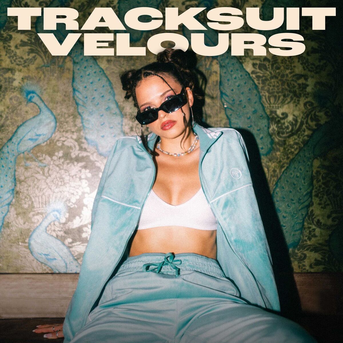 Album cover of Tracksuit Velours