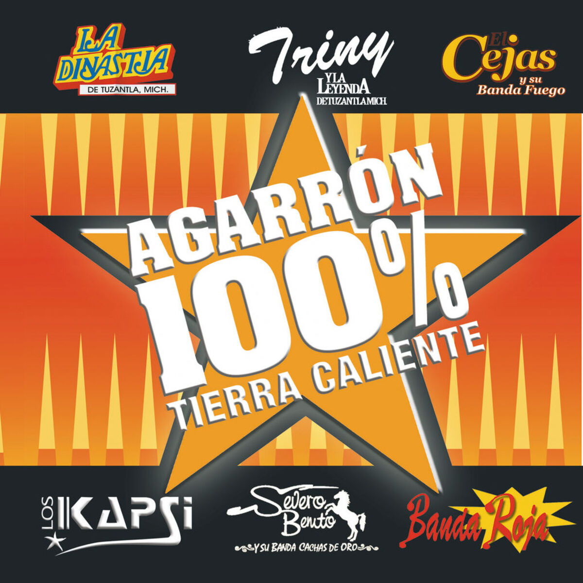 Album cover of Agarrón 100% Tierra Caliente