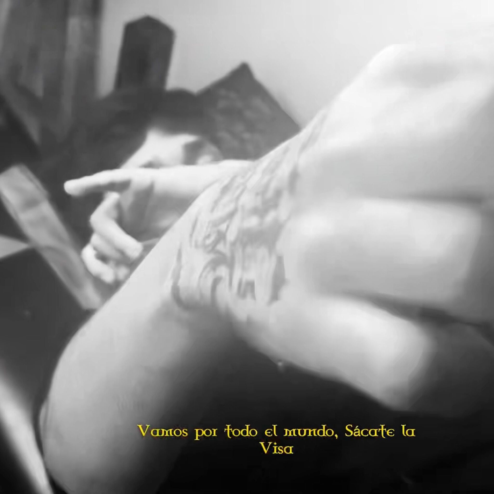 Album cover of Lunatica