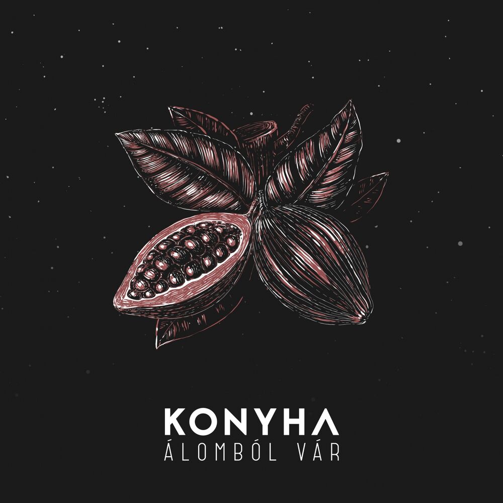 Picture of Álomból Vár