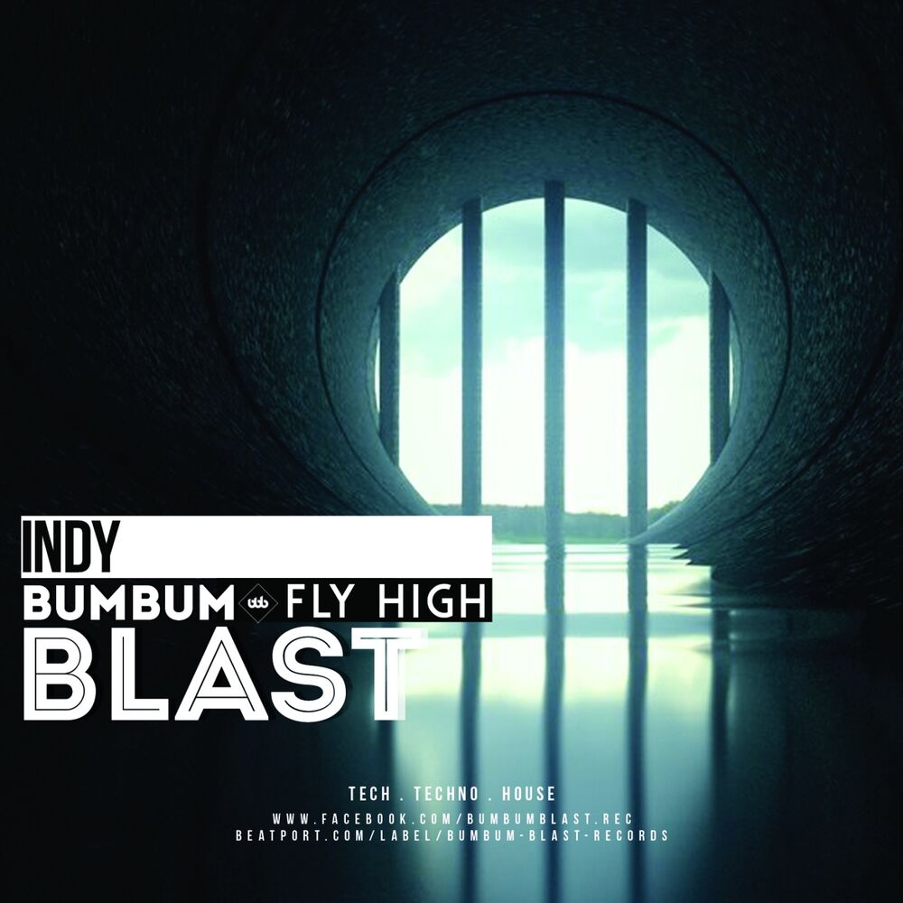 Picture of Fly High
