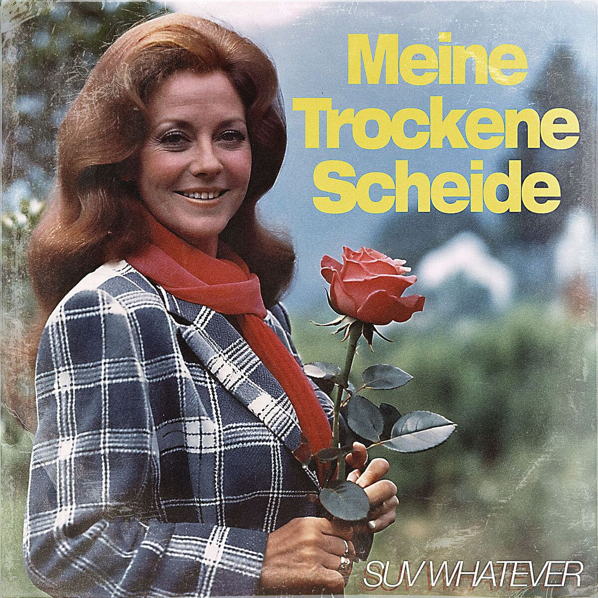 Album cover of Meine Trockene Scheide