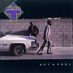 Cover of Act A Fool